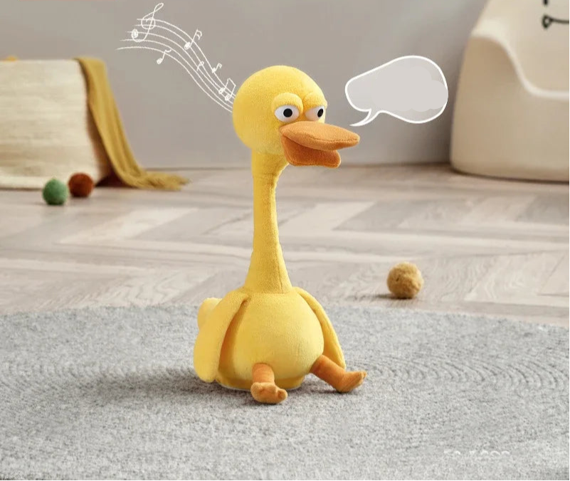 EchoDuck