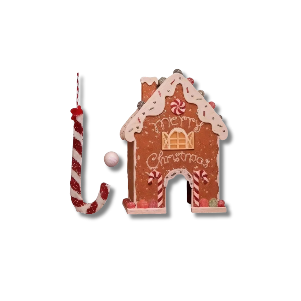 GingerSwing Golf Set