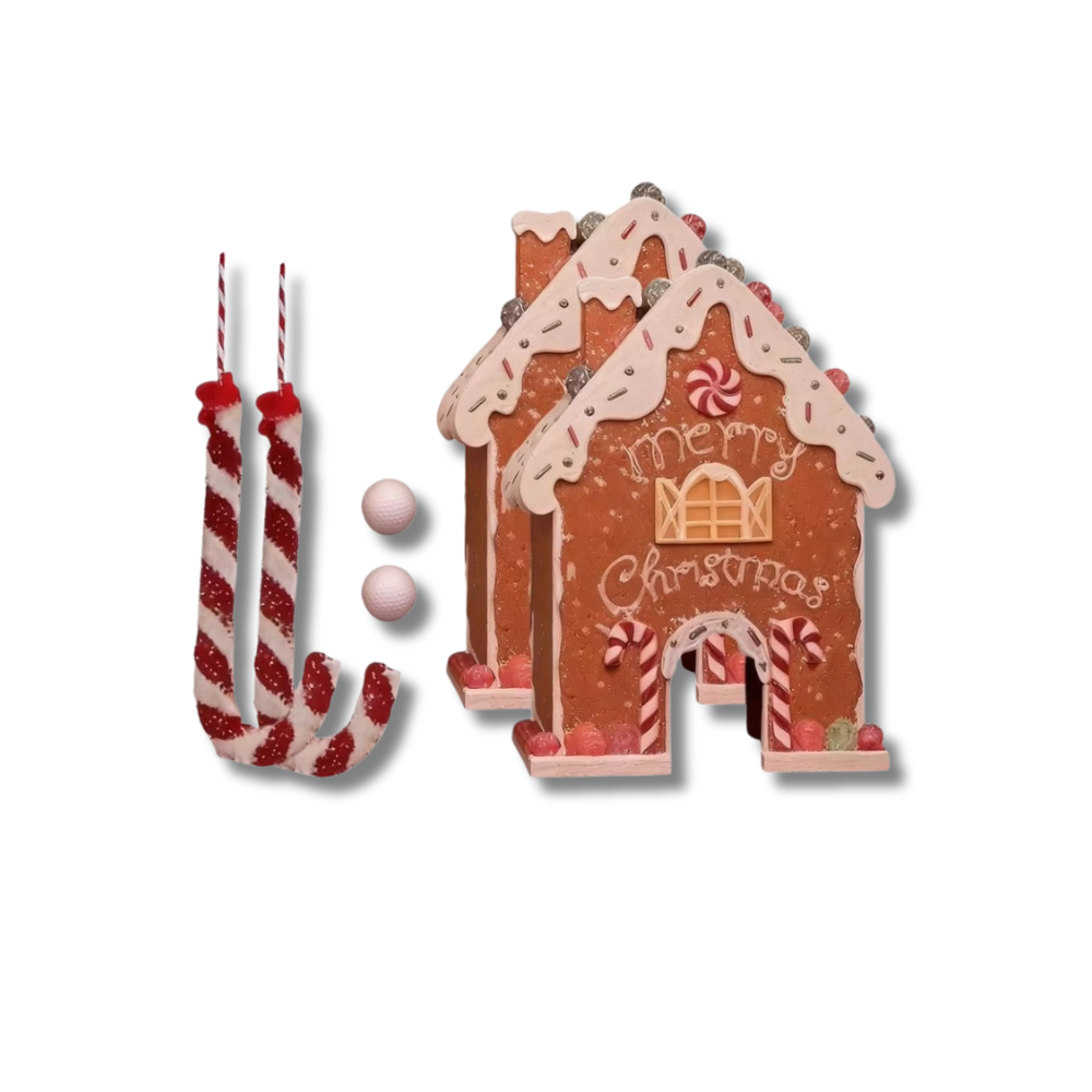 GingerSwing Golf Set