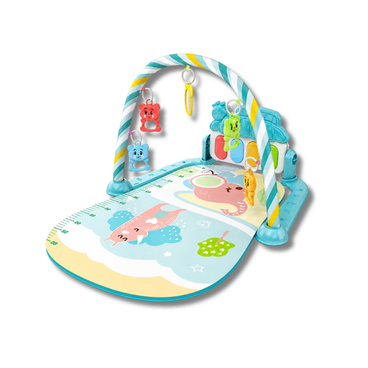 TinyTunes Play Gym