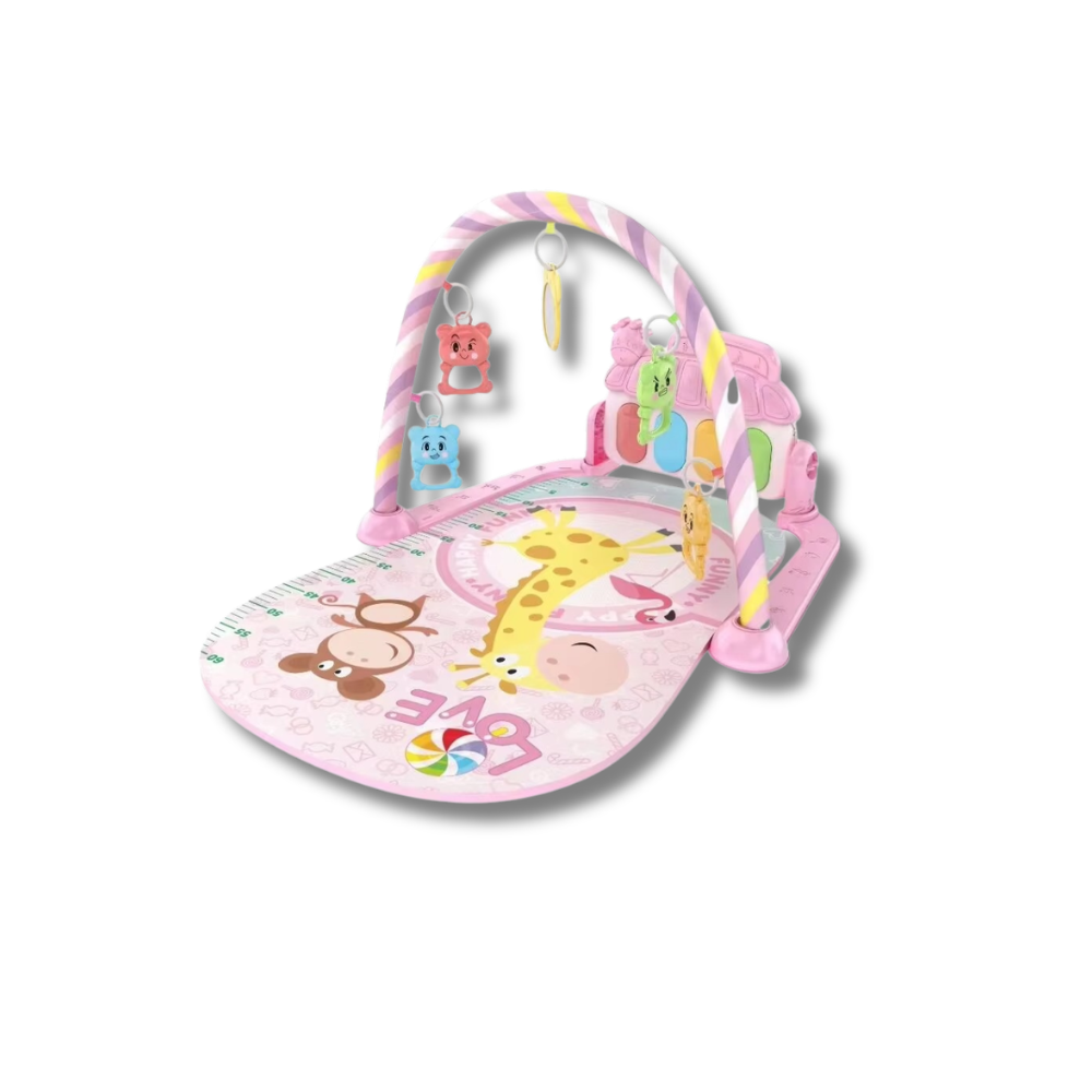 TinyTunes Play Gym