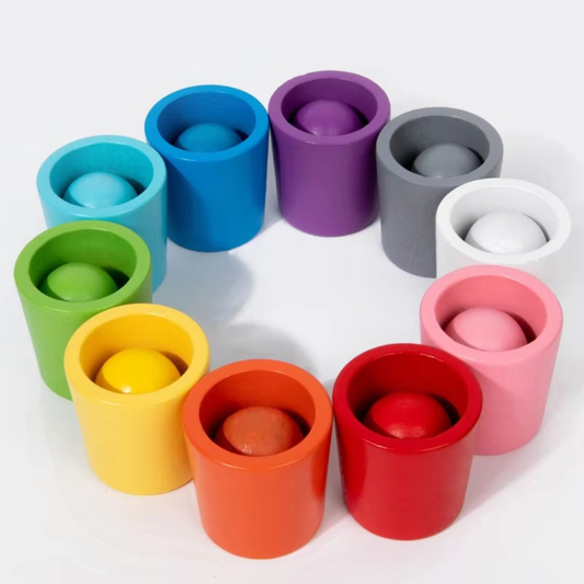 ColorNest Montessori Set