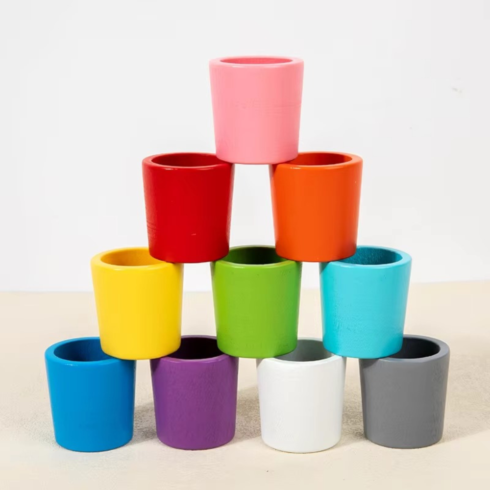 ColorNest Montessori Set