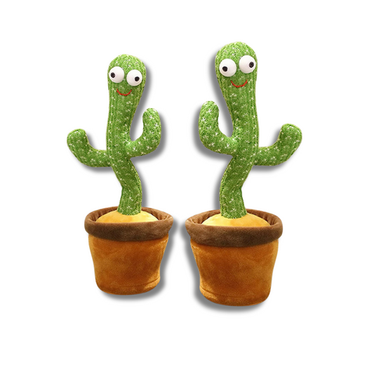GroovyCactus Pal