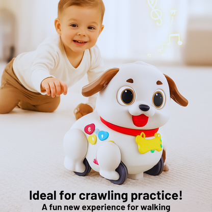 BabyPaw Friend