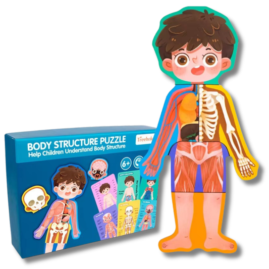 LittleAnatomy Puzzle
