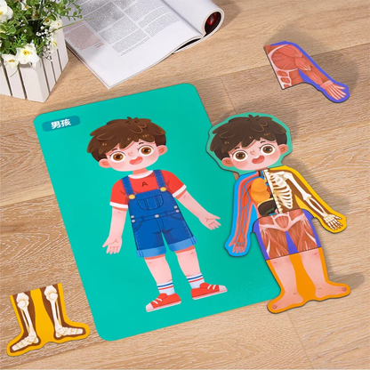 LittleAnatomy Puzzle