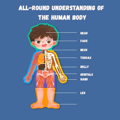 LittleAnatomy Puzzle