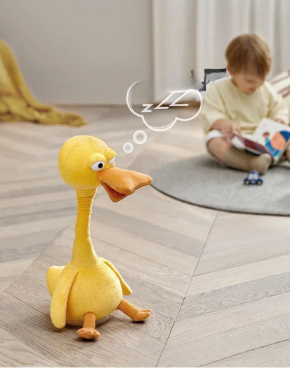 EchoDuck